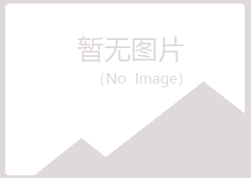 河北冰夏采矿有限公司